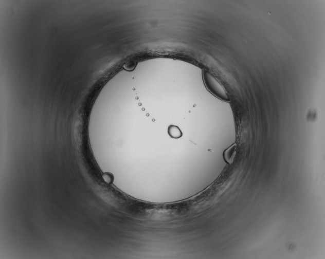 X0000102470448200808221647
