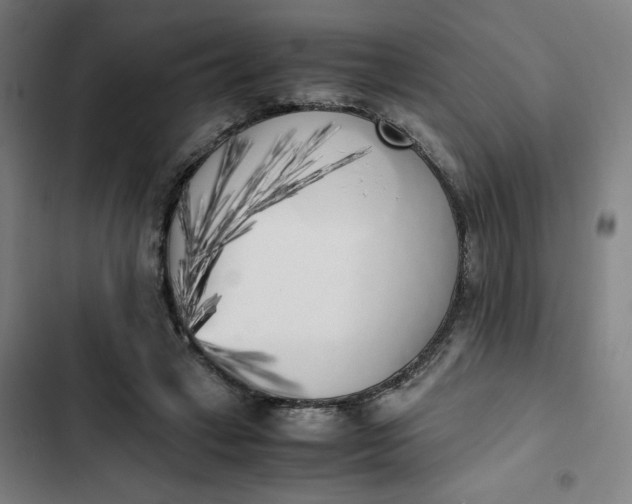 X0000102470449200808221647
