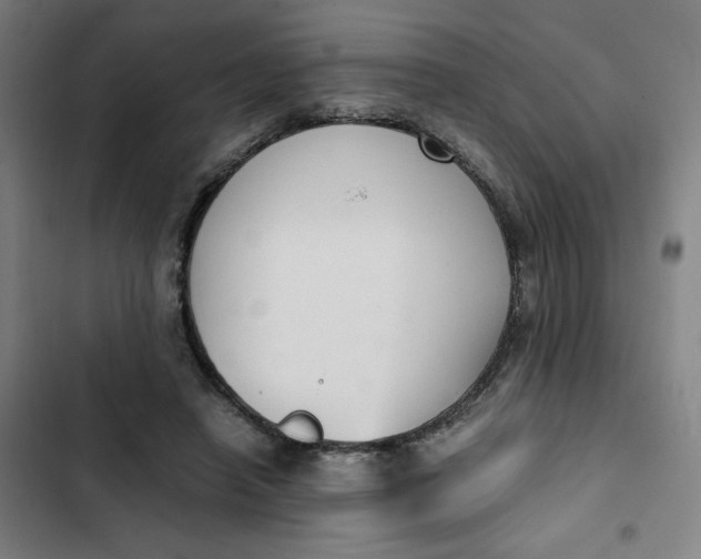 X0000102470450200808221647
