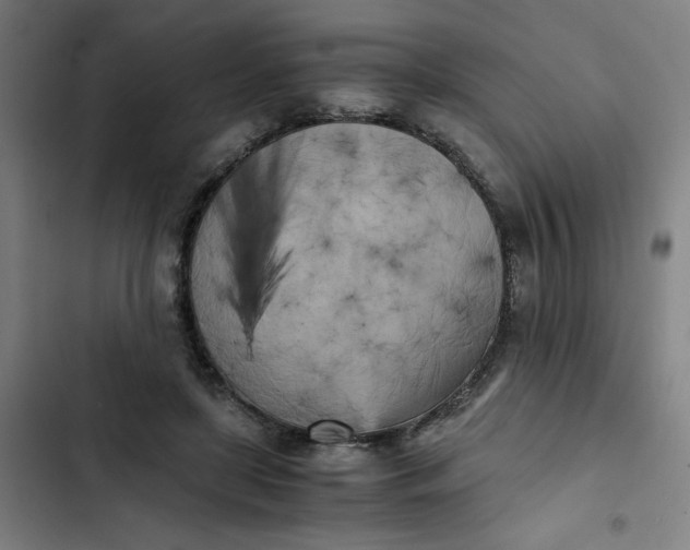 X0000102470451200808221647