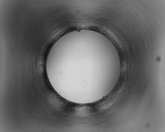 X0000102470452200808221647