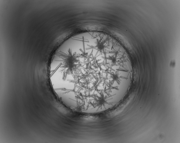 X0000102470453200808221647