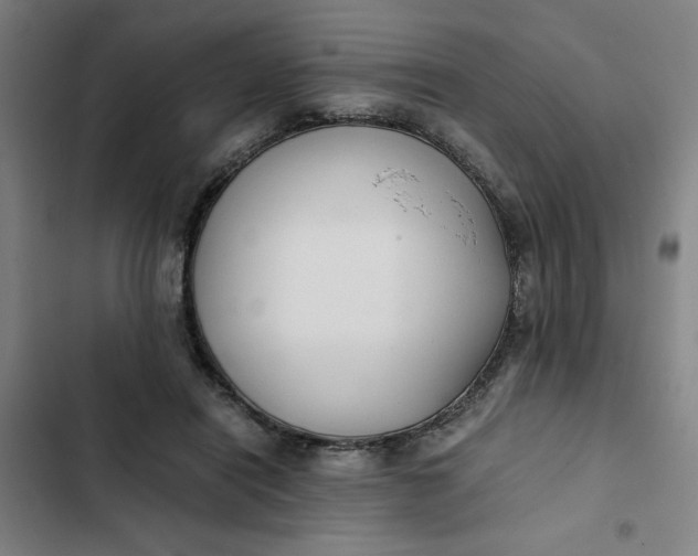 X0000102470454200808221647