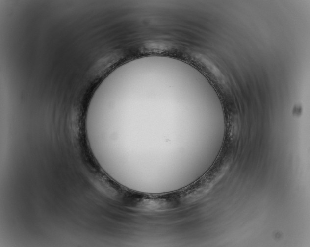 X0000102470455200808221647
