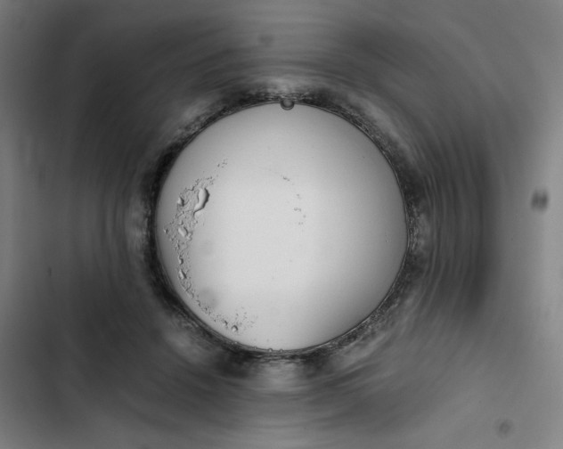 X0000102470456200808221647