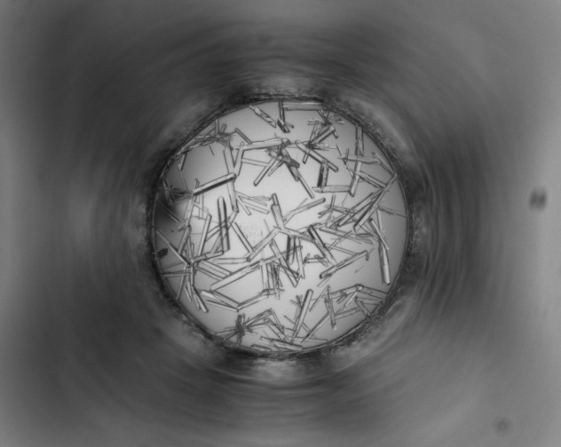 X0000102470457200808221647