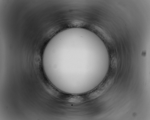 X0000102470459200808221647