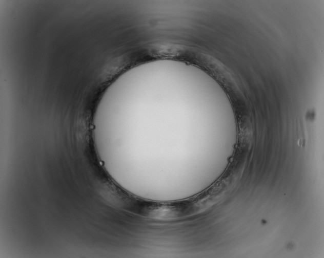 X0000102470460200808221647