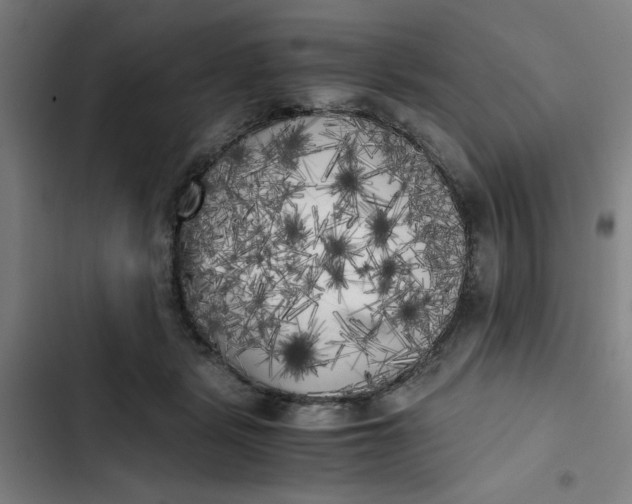 X0000102470461200808221647