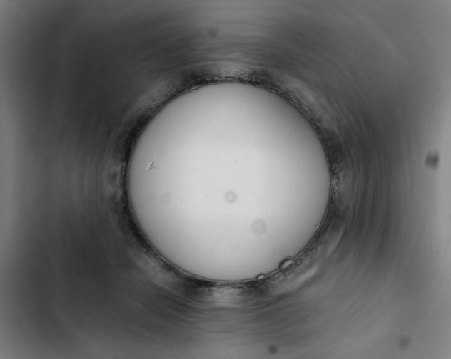 X0000102470462200808221647