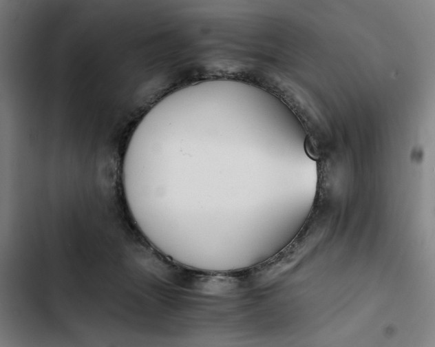 X0000102470463200808221647