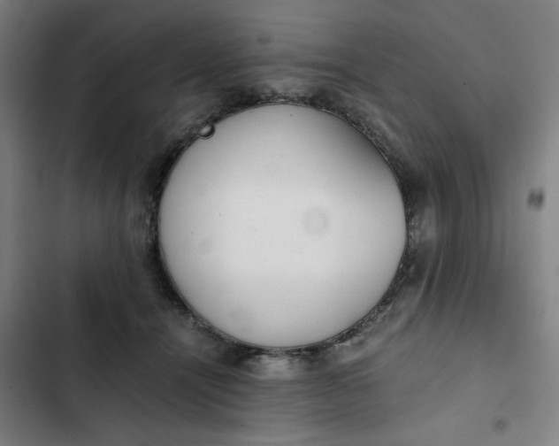 X0000102470464200808221647