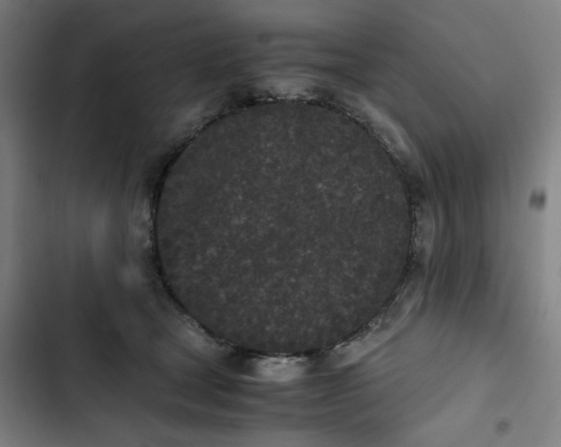 X0000102470465200808221647