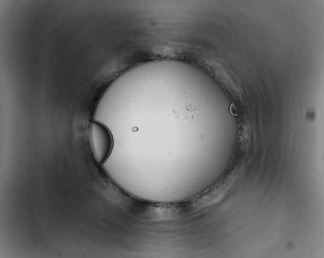 X0000102470466200808221647