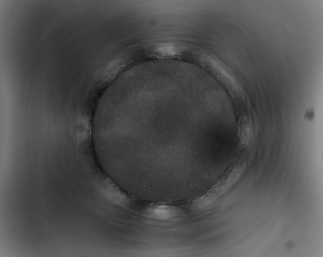 X0000102470467200808221647