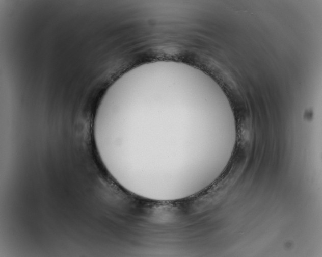 X0000102470468200808221647