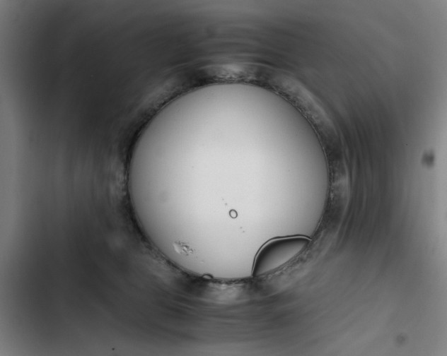 X0000102470469200808221647