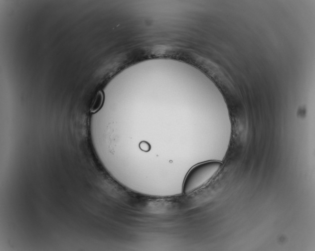 X0000102470470200808221647
