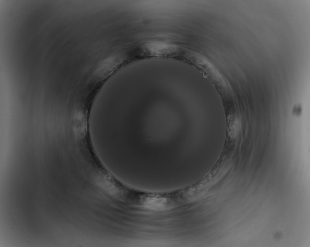 X0000102470471200808221647