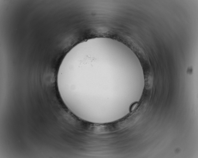 X0000102470472200808221647