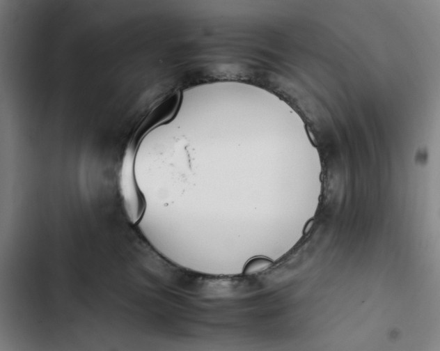 X0000102470473200808221647