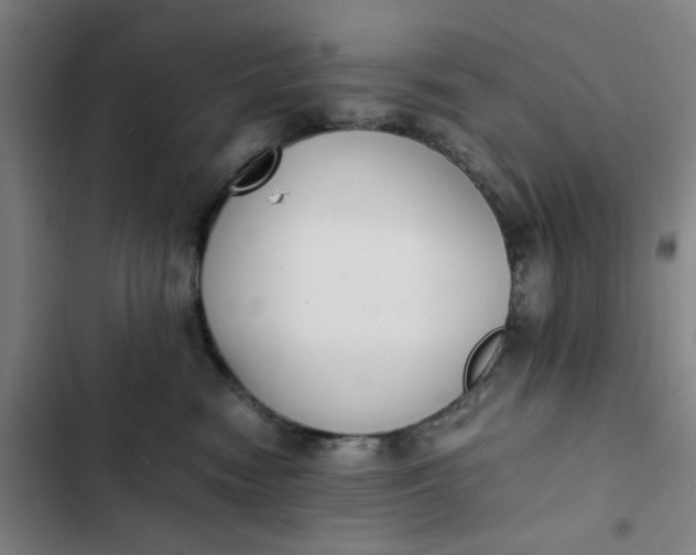 X0000102470474200808221647