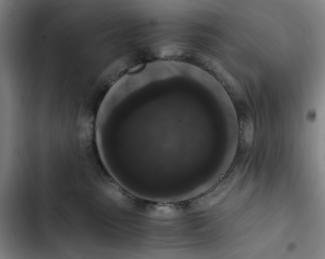 X0000102470475200808221647