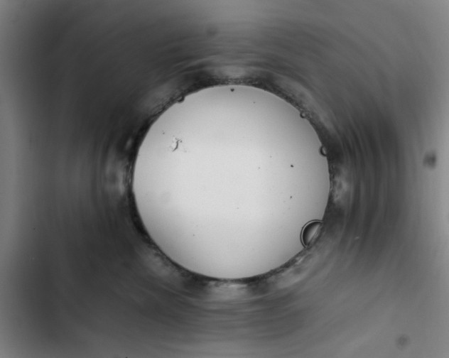 X0000102470476200808221647