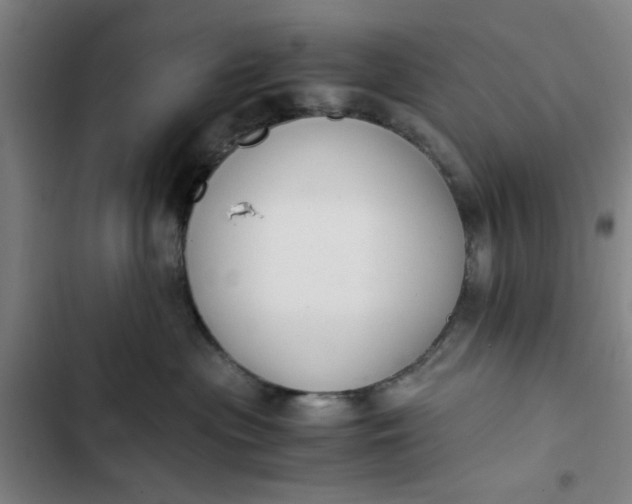 X0000102470477200808221647