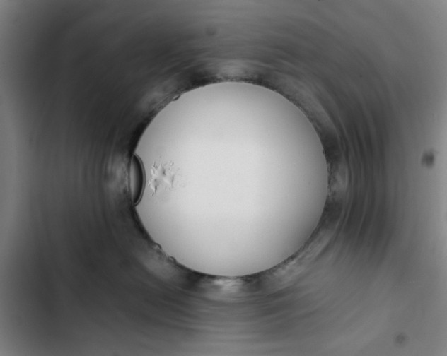X0000102470478200808221647