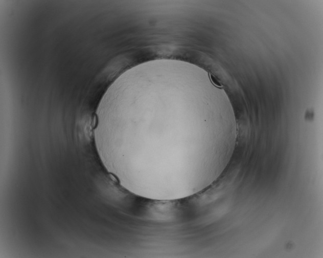 X0000102470479200808221647