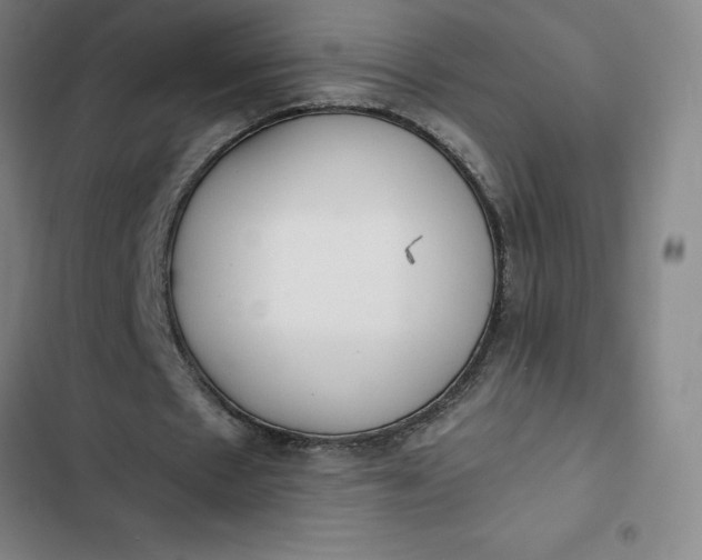 X0000102470481200808221646