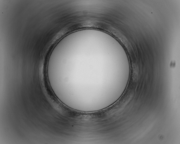 X0000102470482200808221646