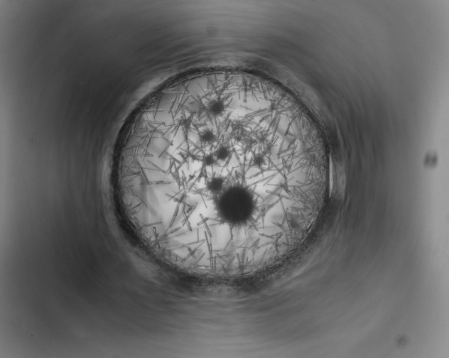 X0000102470483200808221646