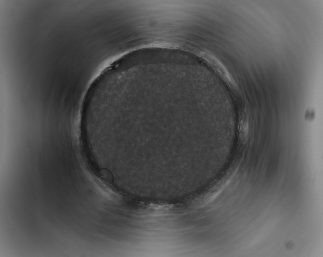 X0000102470484200808221646