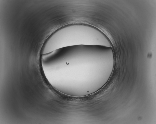 X0000102470485200808221646