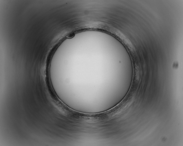 X0000102470486200808221646