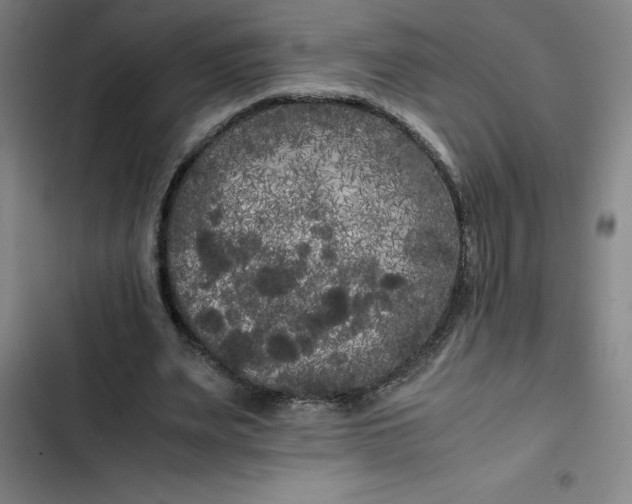 X0000102470487200808221646