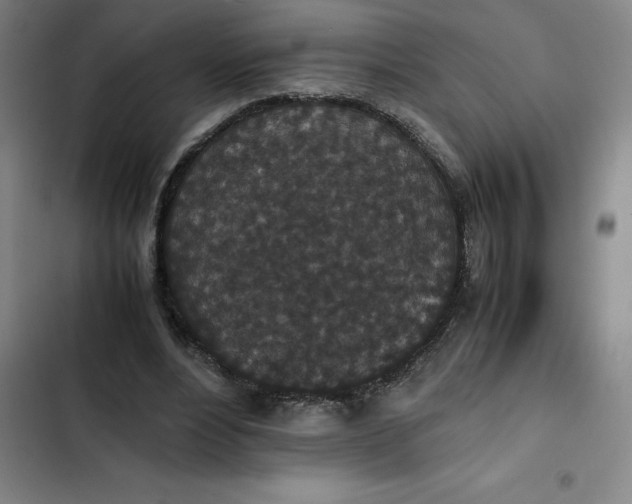 X0000102470488200808221646
