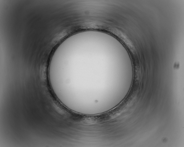 X0000102470489200808221646