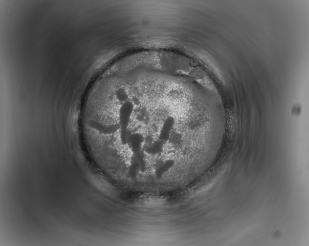 X0000102470491200808221646