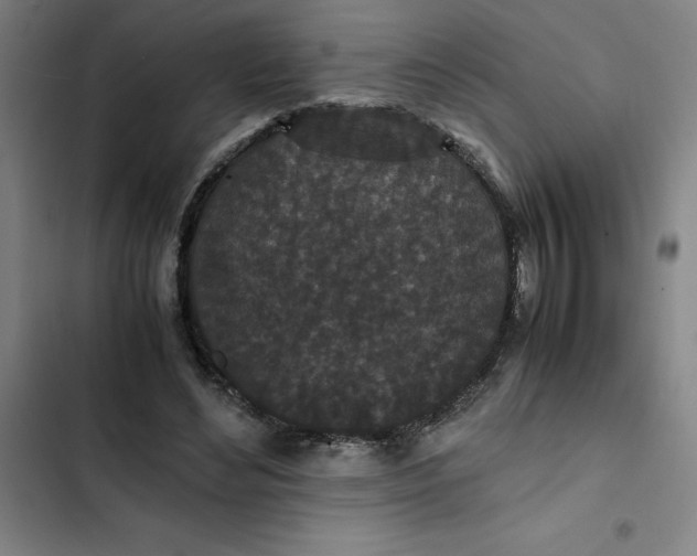 X0000102470492200808221646