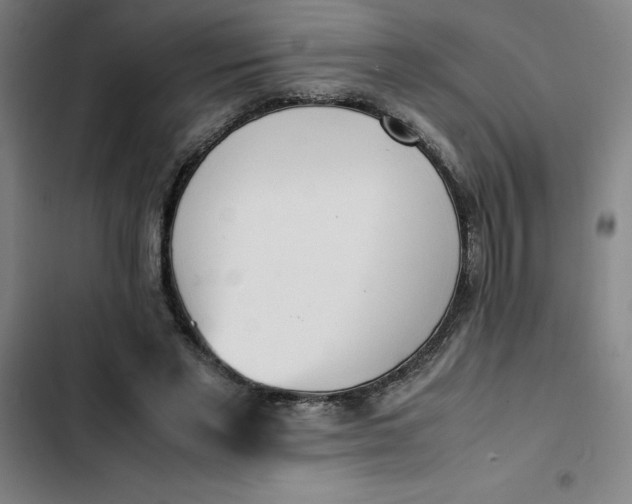 X0000102470493200808221646