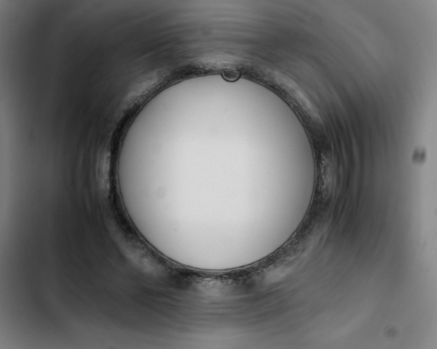 X0000102470494200808221646