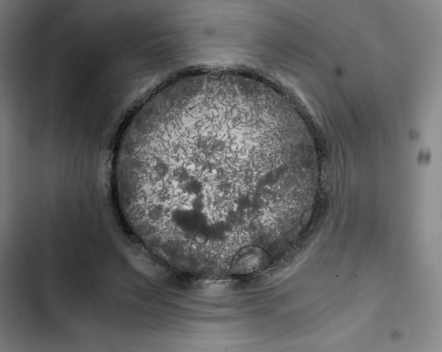 X0000102470495200808221646
