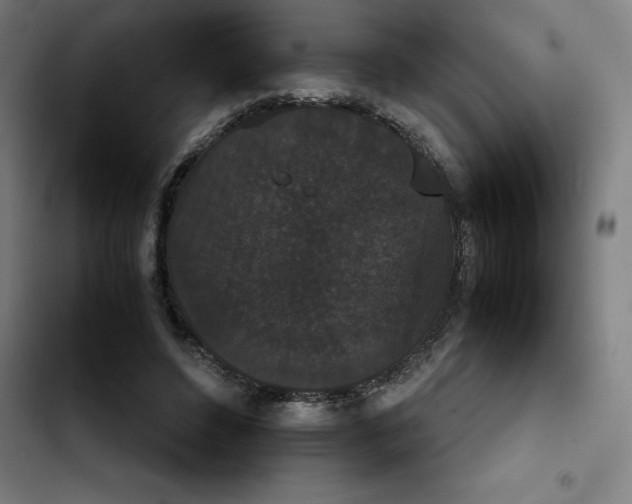 X0000102470496200808221646