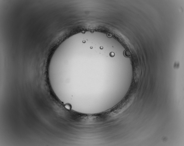 X0000102470497200808221646