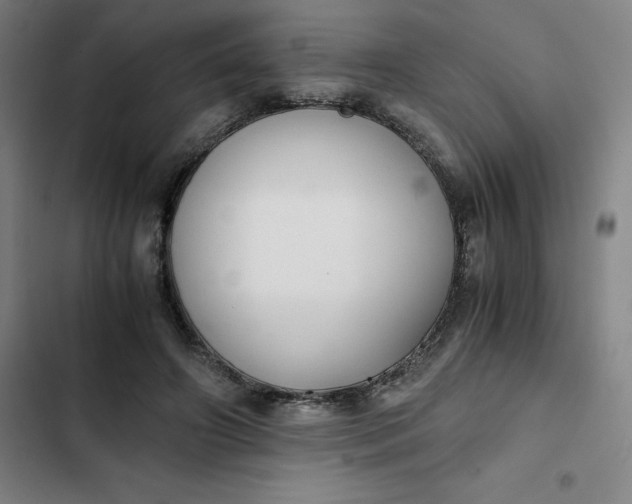 X0000102470498200808221646
