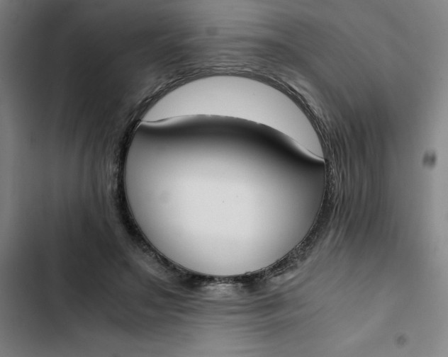 X0000102470499200808221646