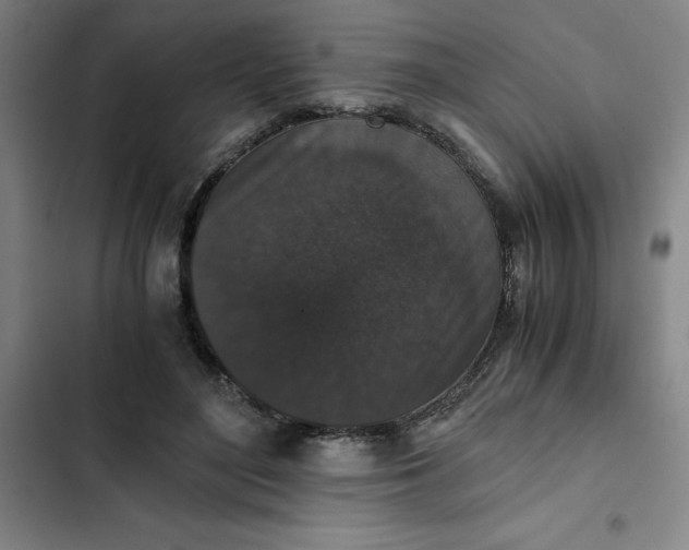 X0000102470500200808221646